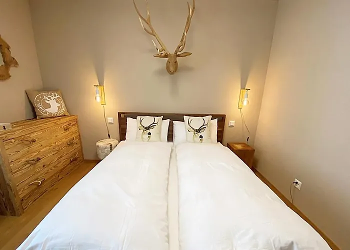 Apartament Jaegerstil, 70m2, Zentral, 1 Parkplatz - Re31 Sankt Moritz