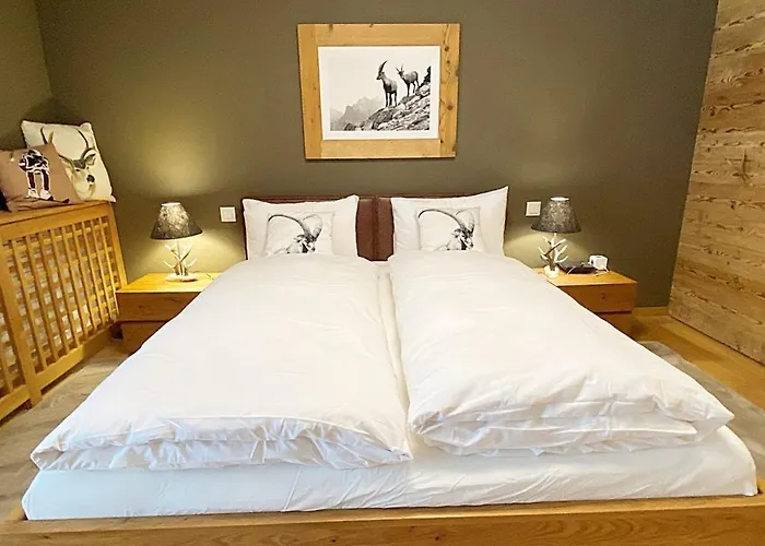 Apartament Jaegerstil, 70m2, Zentral, 1 Parkplatz - Re31 *